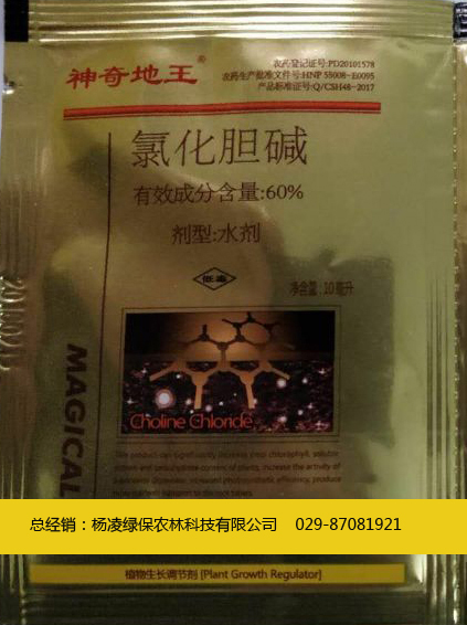 KKooa(chn)-----